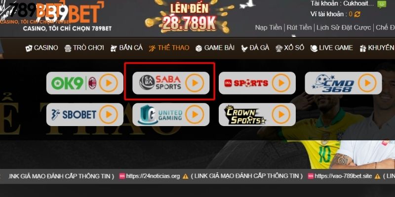 Saba Sports là gì?